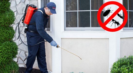 Menteşe Dezenfeksiyon böcek ilaçlama ve haşere kontrolü — ilaclama-tr.com
